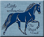 Little America is your European source for naturally gaited, sweet-tempered Tennessee Walking Horses with World Champion and very old bloodlines.  Standing Tennessee Walking Horse stallions, LAD'S BLACK BUSTER, BUSTER'S FAIR LEROY AND POSTMARK DELIGHT. Selling flatshod  saddle horses, weanlings and breeding stock. Try the 'Dutch Touch' in Tennessee Walkers. Overseas transport can be arranged.
